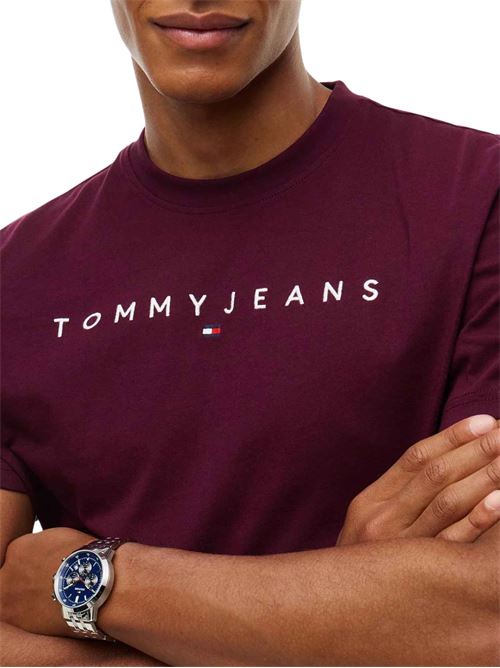 T-shirt con logo Tommy Jeans | DM0DM20744V11